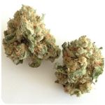 Шишки "White Widow"  (Белая вдова)  Гидропоника -  Бошка VHQ в Коломне