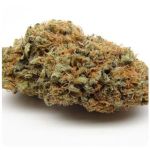 Шишки AK47  (Гидропоника, Бошка) VHQ в Коломне